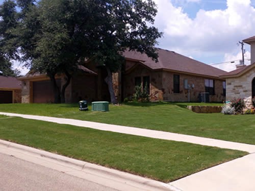The Lawn Dude Llc Killeen Texas, Landscaping Companies In Killeen Texas