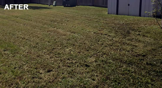 Hire a Lawn Mowing Company Texas