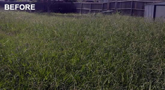 Lawn Mowing Services Texas