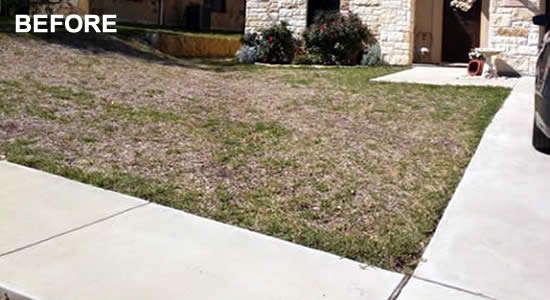 Lawn Fertilization Services Texas