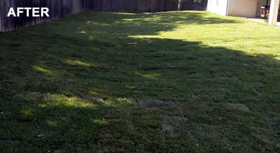 Get a new Harker Heights lawn with Sod Installation Services