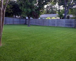 Lawn Service Provider Texas