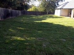 lawn-sod-installation-after