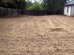 lawn-sod-installation-before